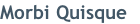 Morbi Quisque
