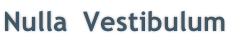 Nulla  Vestibulum